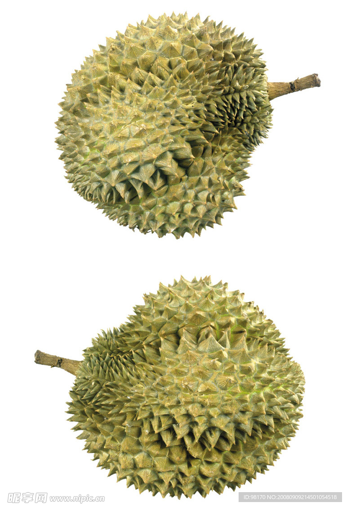 榴莲