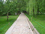 小路