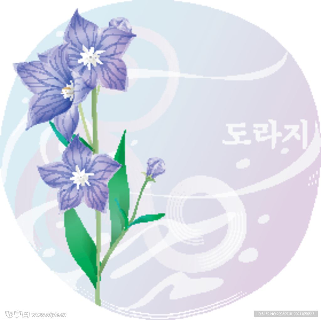 矢量花卉
