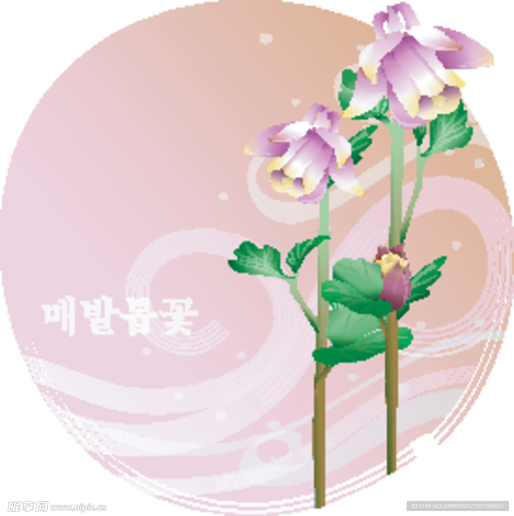 矢量花卉