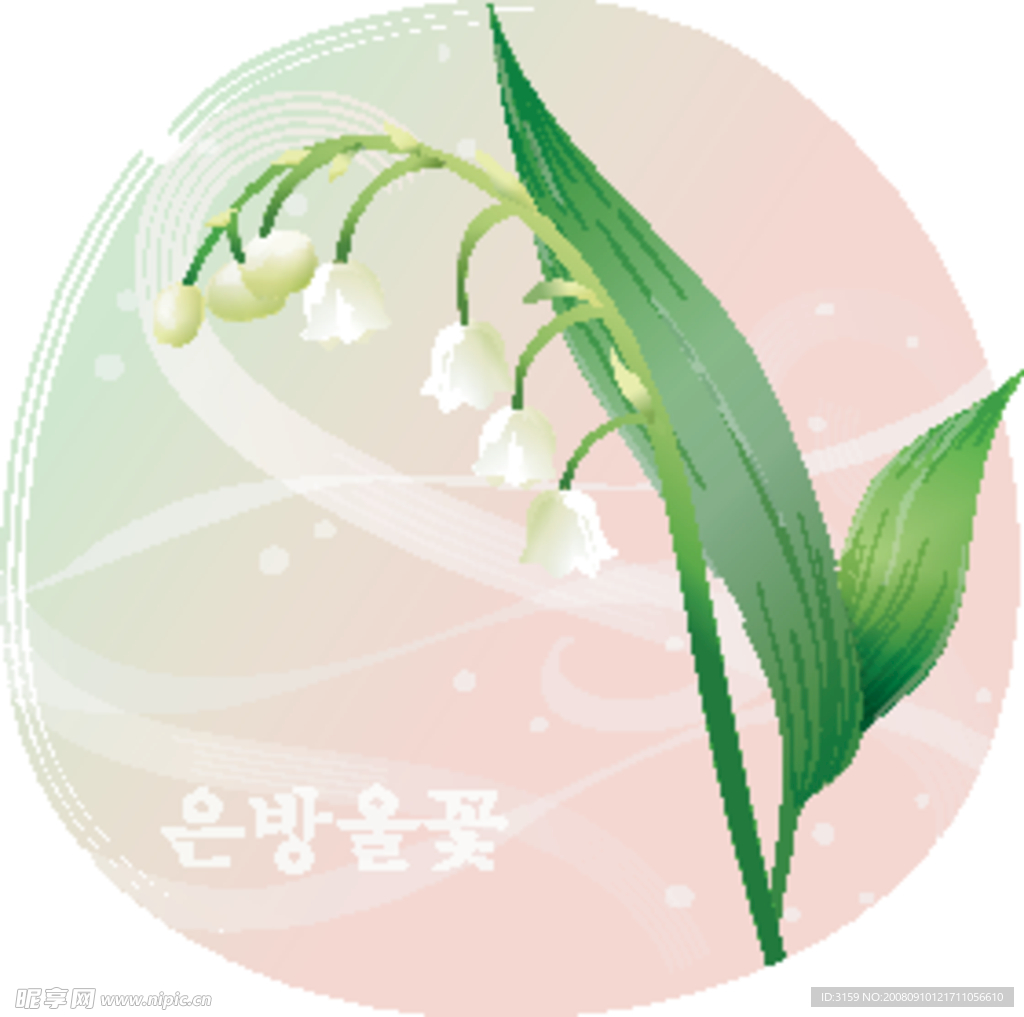 矢量花卉
