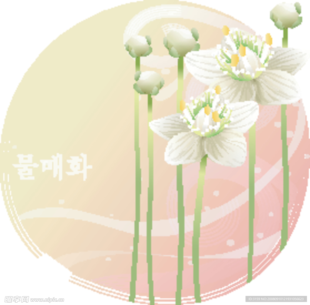 矢量花卉
