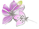 花纹