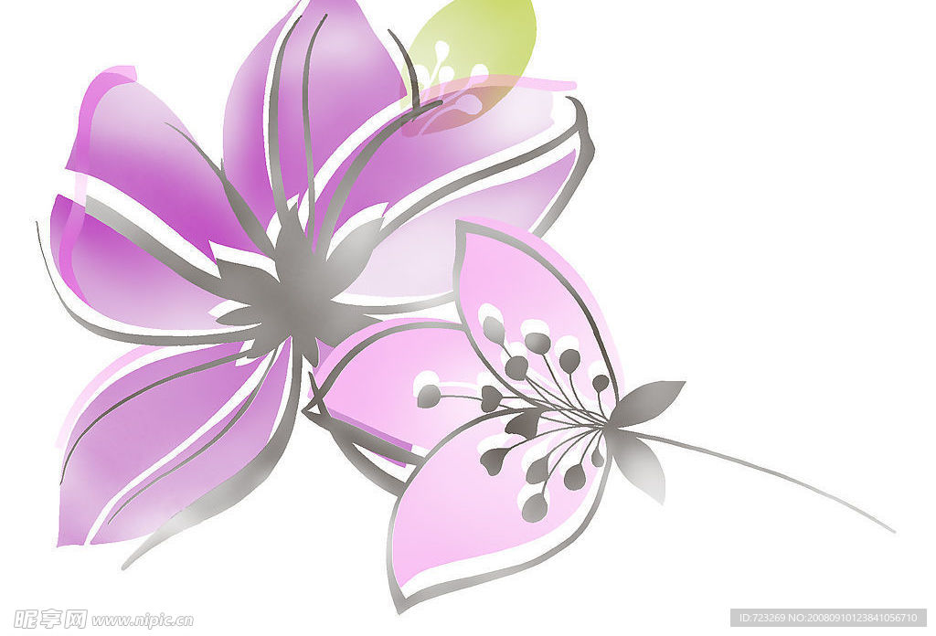 花纹