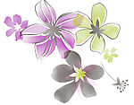 花纹