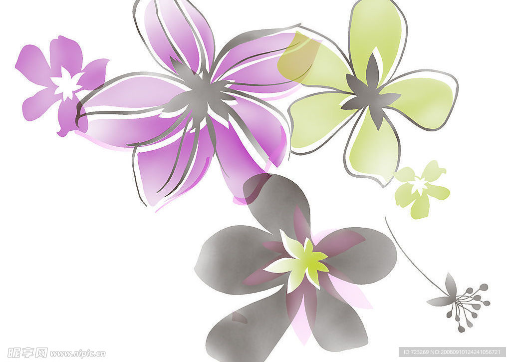 花纹