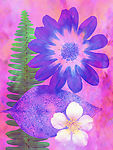 花底纹