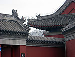 古建筑中看鸟巢