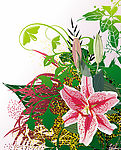 欧美花纹