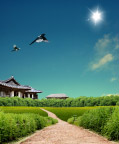 乡间小路风景素材
