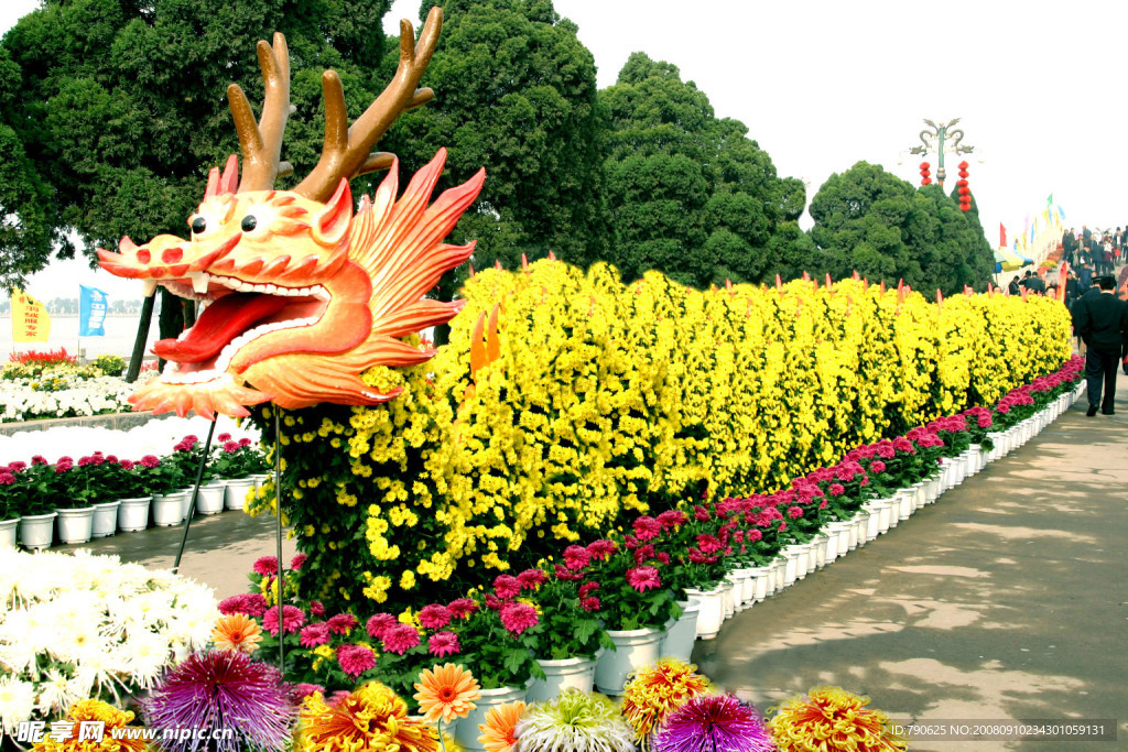 菊展