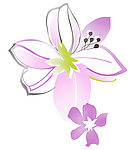 花纹