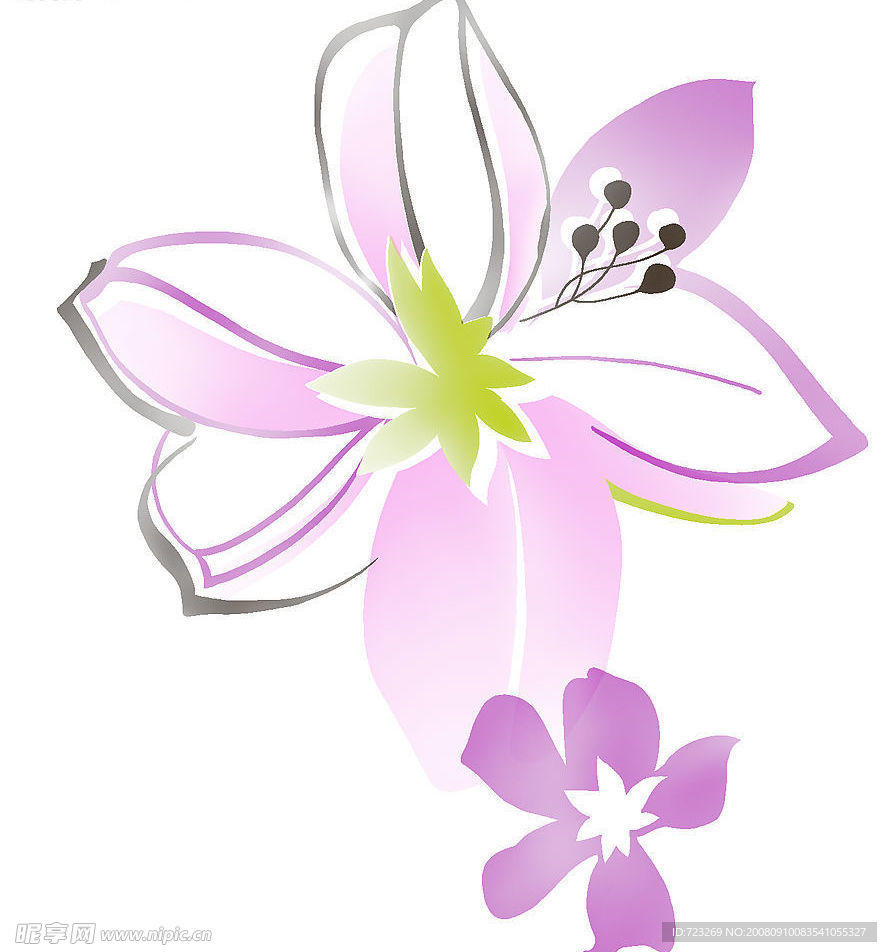 花纹