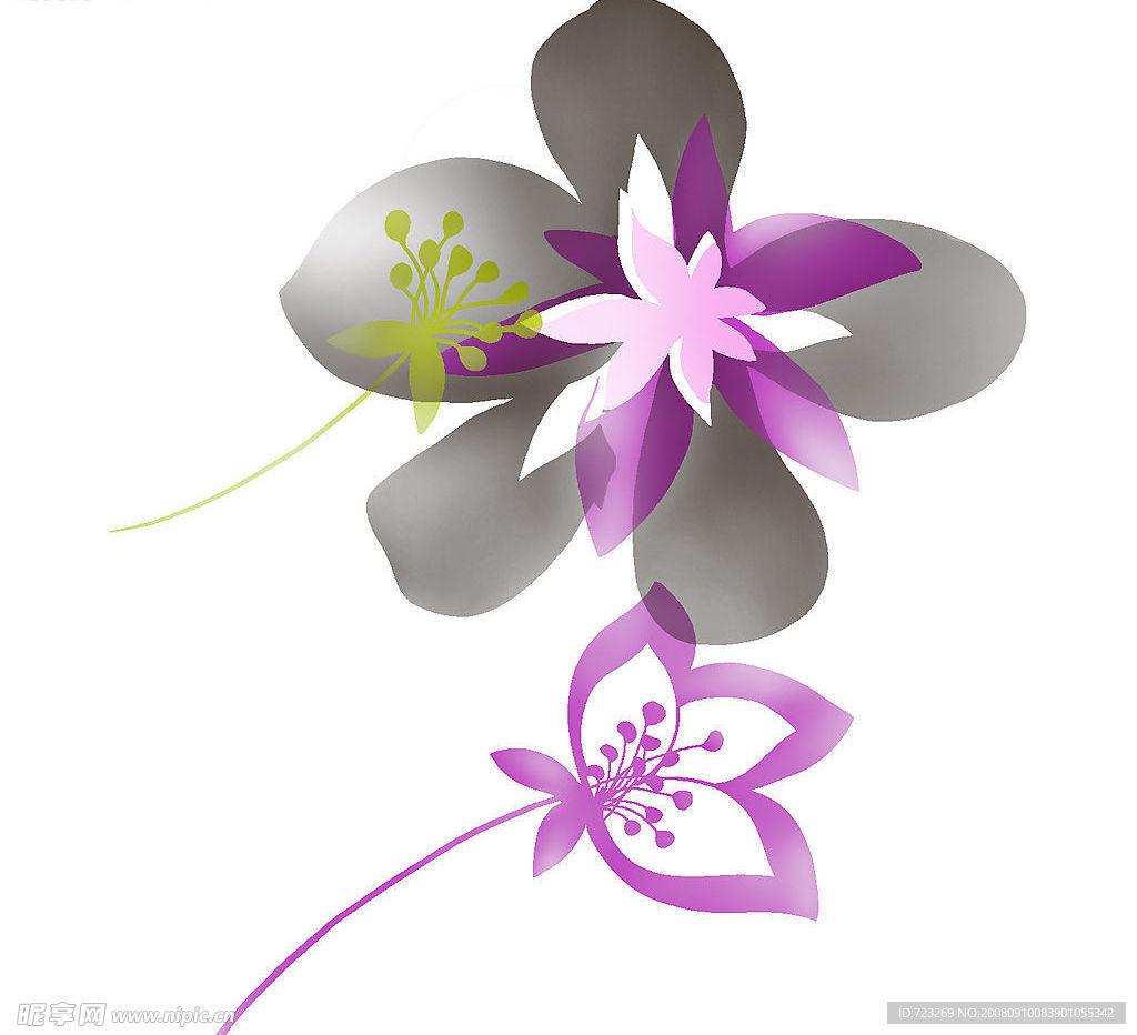 花纹