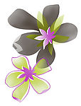 花纹