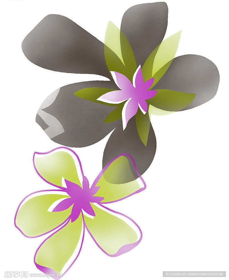 花纹