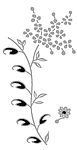 花纹