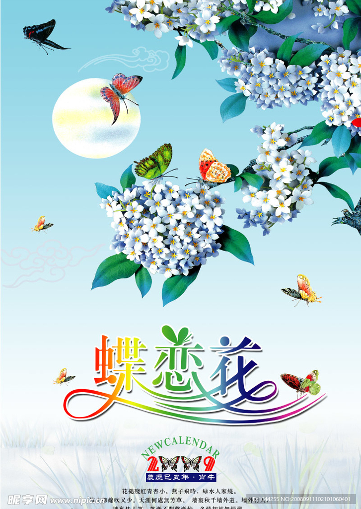 蝶恋花