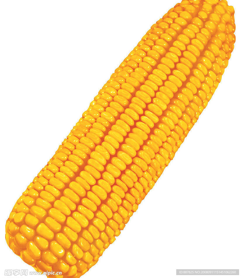 玉米