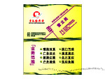 金太阳广告名片