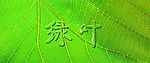 绿叶滴水