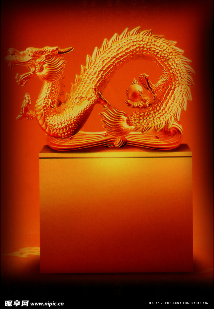 金龙