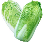 大白菜