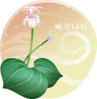 矢量花卉