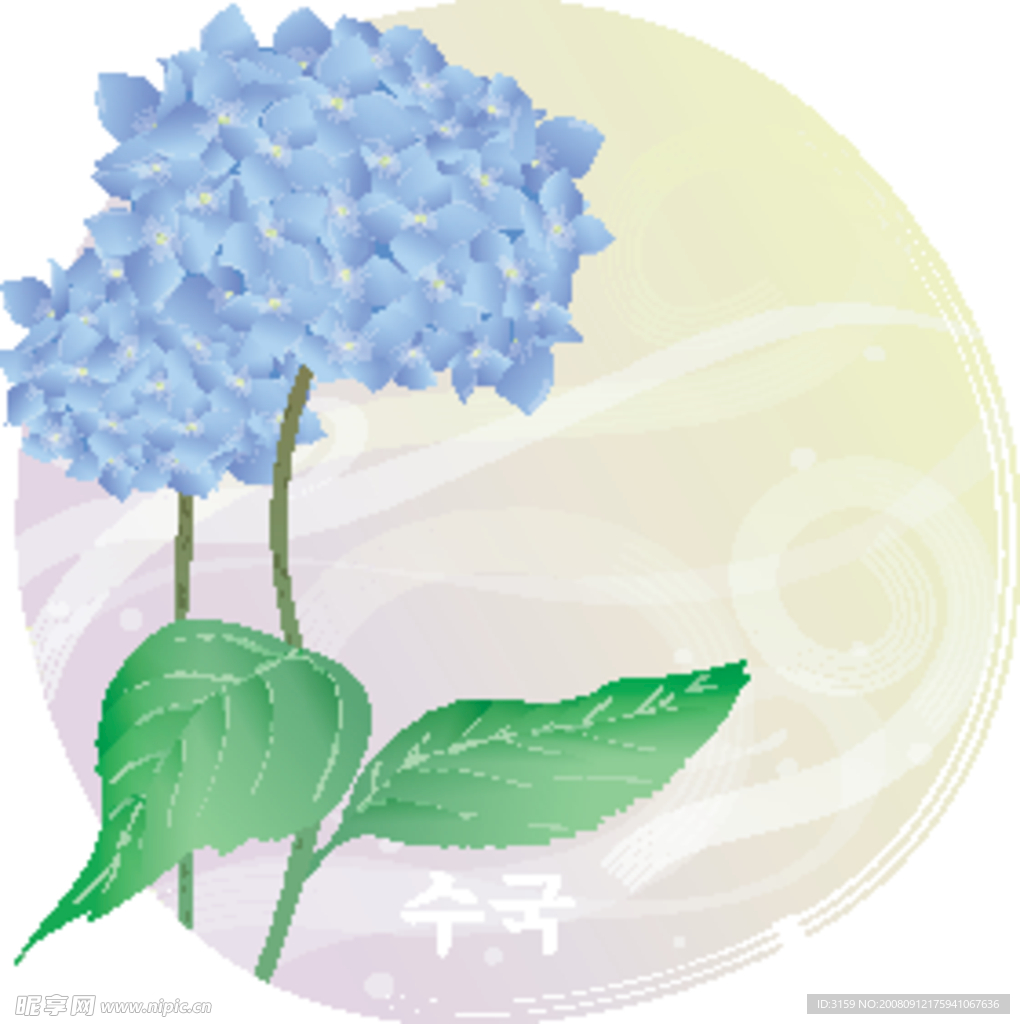 矢量花卉
