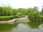 公园 树林 小路 湖水
