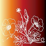 矢量白描花朵