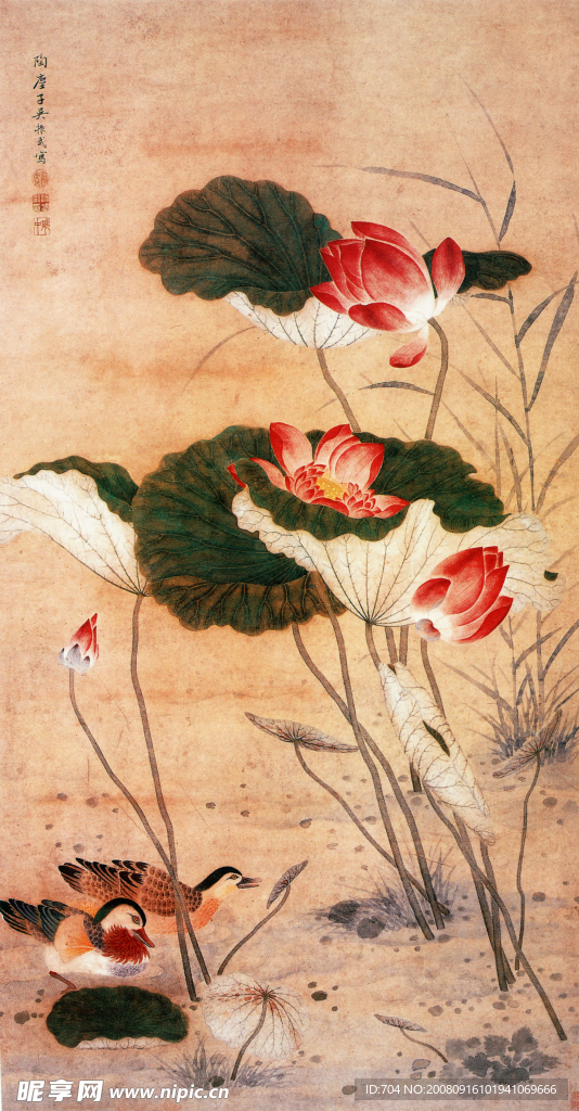 手绘荷花