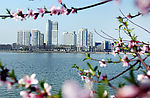 湖光楼影