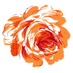 花卉