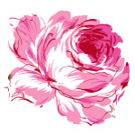 花卉