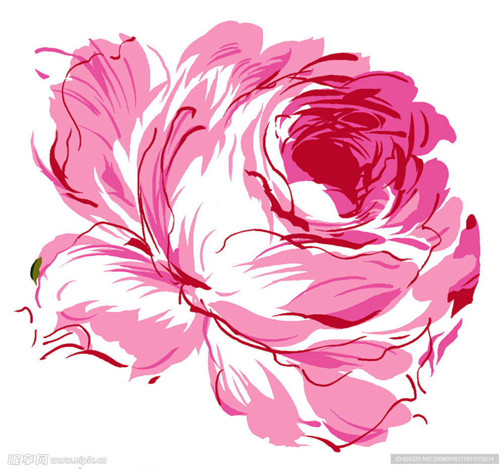 花卉
