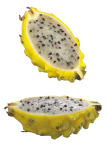 火龙果