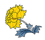 花纹