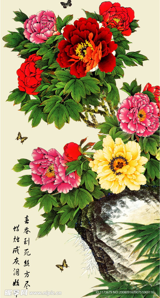 牡丹