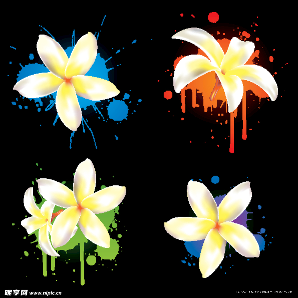鸡蛋花与墨迹矢量素材