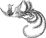 矢量凤
