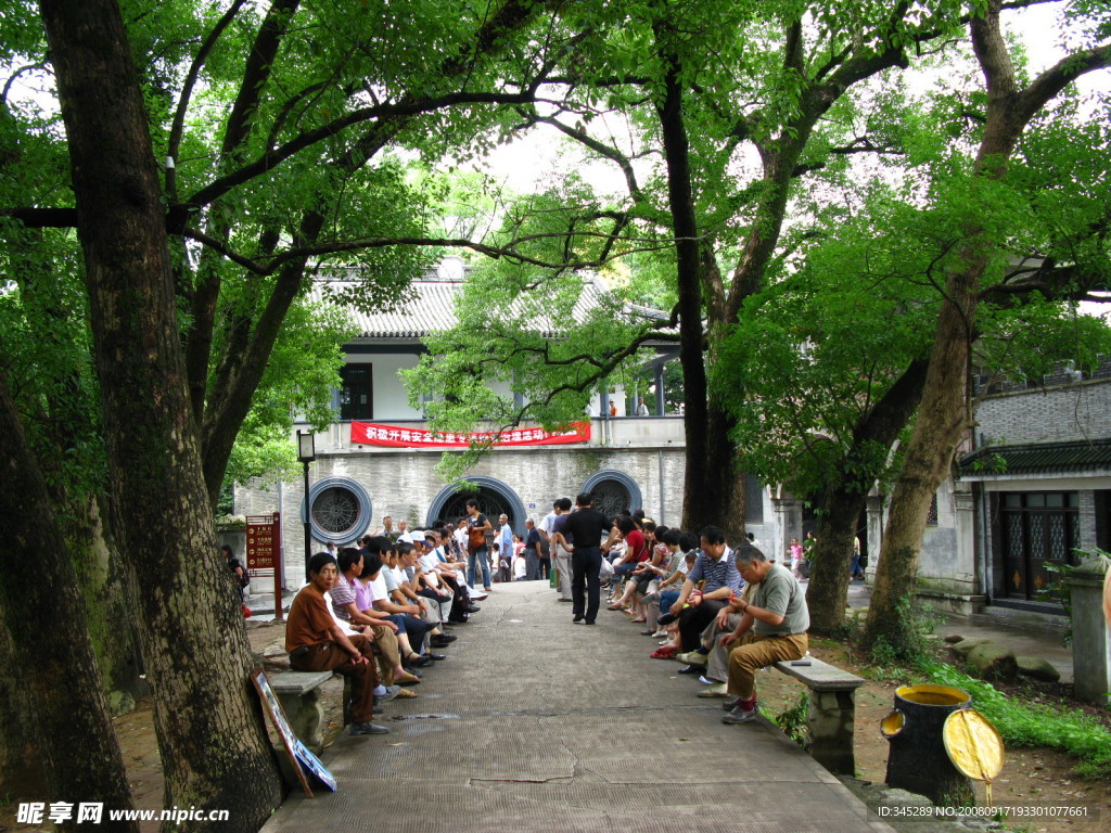 溪口旅游－游客树荫地下好乘凉