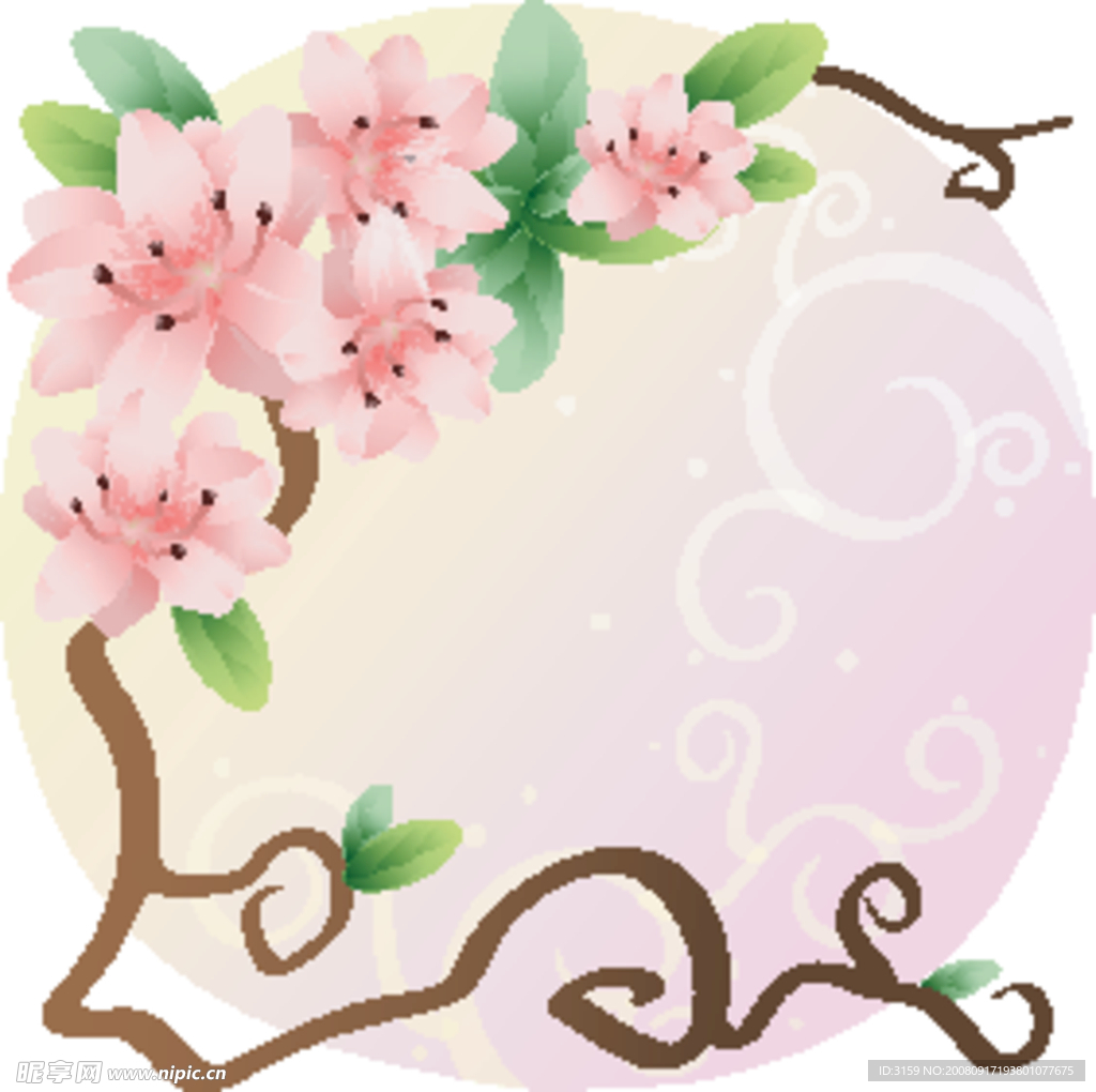 矢量花卉