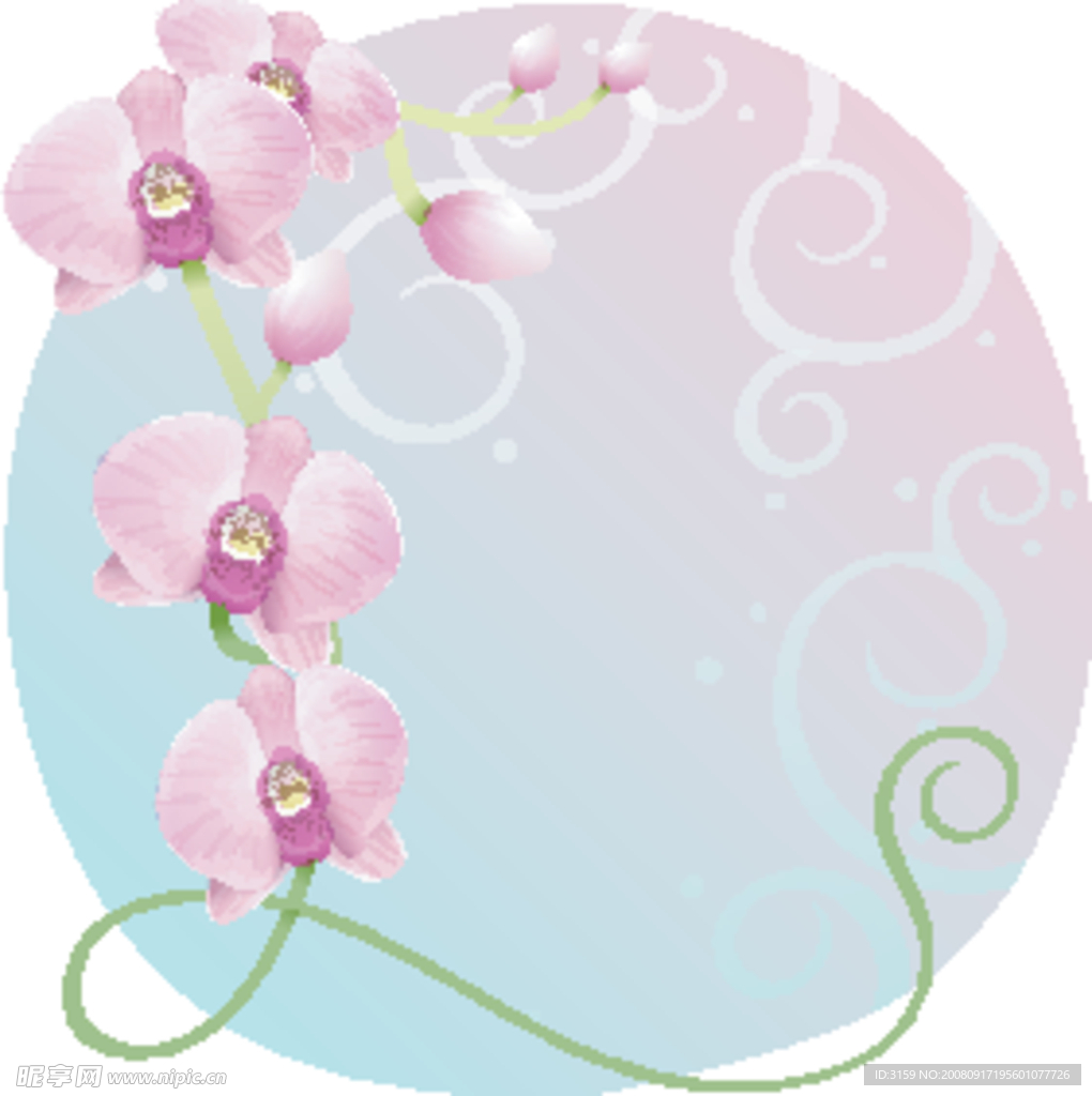 矢量花卉