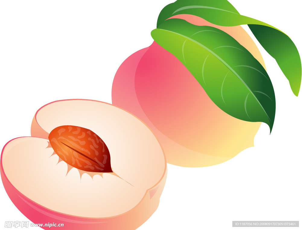 矢量桃子