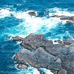 大海