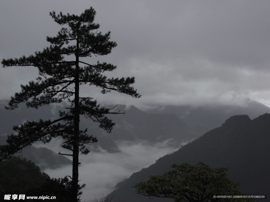 龙泉山