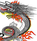 飞龙