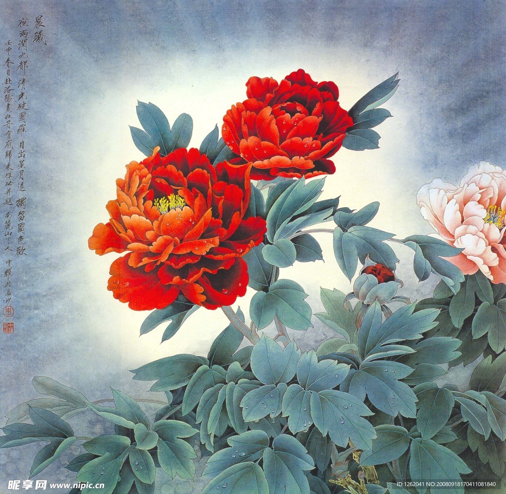 晨曦