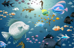 海底世界